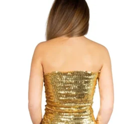 Pailletten Rokje/topje, Goud -Keeskonings Winkel keeskoningscarnaval 21 12 18 38 van 179 large 1